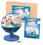 Animal Cell Model Plus