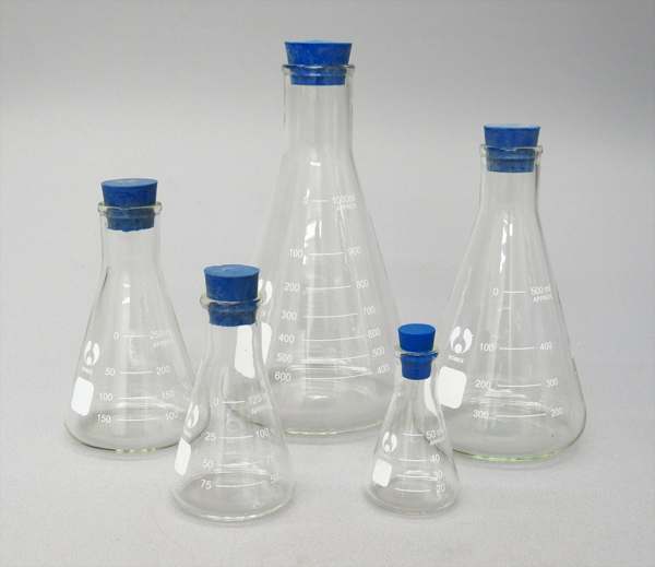 613853S Erlenmeyer Flask Set of 5 with Stoppers