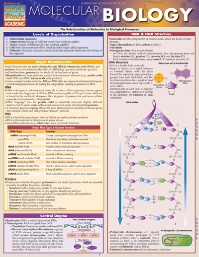 Biology Chart