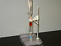 Synthesis of an Organic Acid