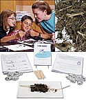 Basic Owl Pellet Study Kit