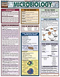 Microbiology Chart