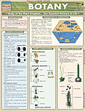 Botony Chart Biology