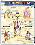 The Viscera Chart