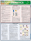 Genetics Chart Illustrated