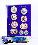 Mitosis Model Activity Set
