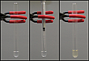 Green Nanochemistry: Synthesis of Silver Nanoparticles