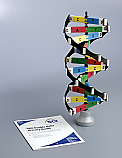DNA 3D Activity Model