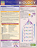 Molecular Biology Chart