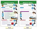 Biological Safety Bulletin Board Chart