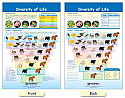 Diversity of Life Bulletin Board Chart