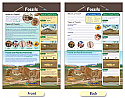 Fossils Bulletin Board Chart
