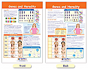 Genes & Heredity Bulletin Board Chart