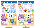 How Genes Work Bulletin Board Chart