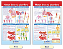 Human Genetic Disorders Bulletin Board Chart