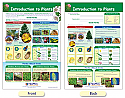 Introduction to Plants Bulletin Board Chart