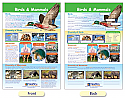 Mammals & Birds Bulletin Board Chart