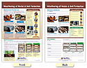 Weathering of Rocks & Soil Formation Bulletin Board Chart