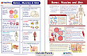 Bones, Muscles & Skin Visual Learning Guide