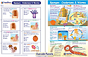 Sponges, Cnidarians & Worms Visual Learning Guide