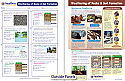 Weathering of Rocks & Soil Formation Visual Learning Guide