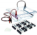 Electrophoresis Classroom Kit