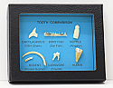 Tooth Comparison Riker Mount