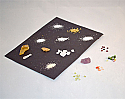 Crystals Microscopy Kit