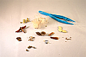 Seeds That Travel Microscopy Kit