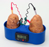 Fruit Potato Clock