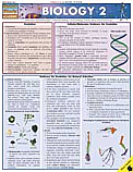 Biology 2 Chart Illustrated