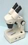 Stereo Microscope 10X - 30X