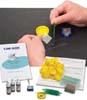 Simple Stain Kit for Plant Tissue
