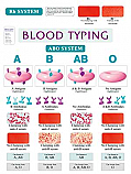 Blood Typing Poster
