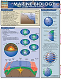 Marine Biology Chart