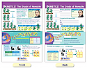 Genetics - The Study of Heredity Bulletin Board Chart