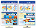 Mollusks, Arthropods & Echinoderms Bulletin Board Chart