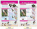 Owl Pellets Bulletin Board Chart