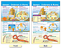 Sponges, Cnidarians & Worms Bulletin Board Chart