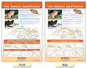 Vole Skeleton Identification Bulletin Board Chart
