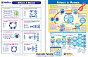 Mitosis & Meiosis Visual Learning Guide