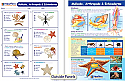 Mollusks, Arthropods & Echinoderms Visual Learning Guide