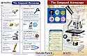 The Compound Microscope Visual Learning Guide
