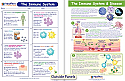 The Immune System Visual Learning Guide