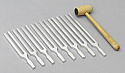 Tuning Forks Aluminum Set of 8 with Mallet and Calibration Certificate