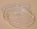 Petri Culture Dishes Glass 75mm Dia